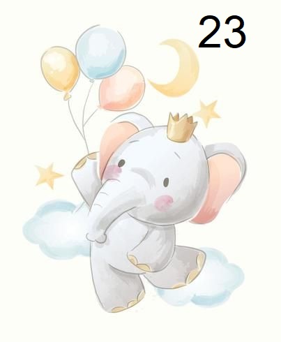 23