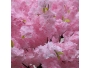 ARTIFICIAL GARDEN CHERRY BLOSSOM TREE 20184 - 2