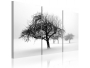 ΠΙΝΑΚΑΣ - TREES SUBMERGED IN WHITE 16931889 120χ80εκ. - 1