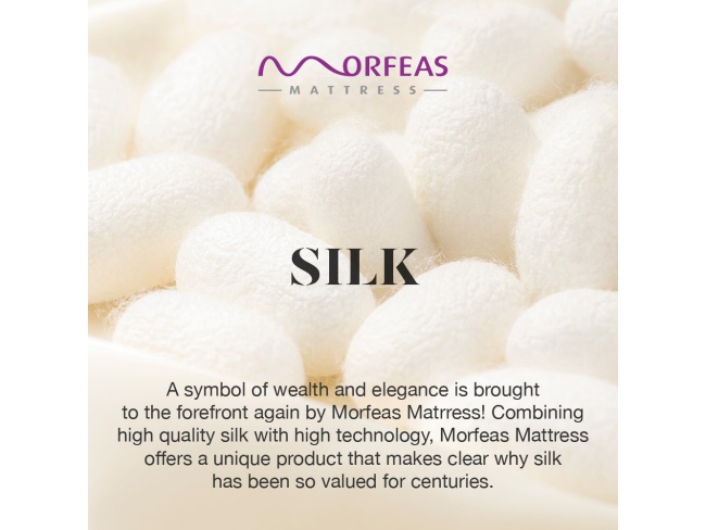 ΣΤΡΩΜΑ MEMORY GEL MORFEAS - 5