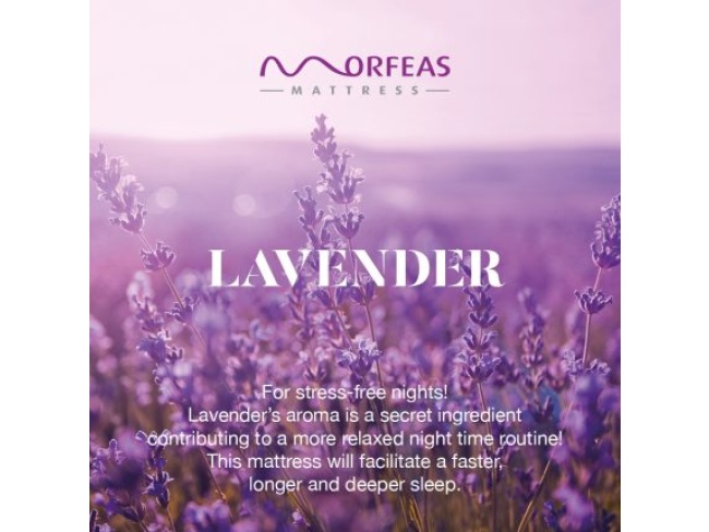 ΣΤΡΩΜΑ LAVERDER TOUCH MORFEAS - 6