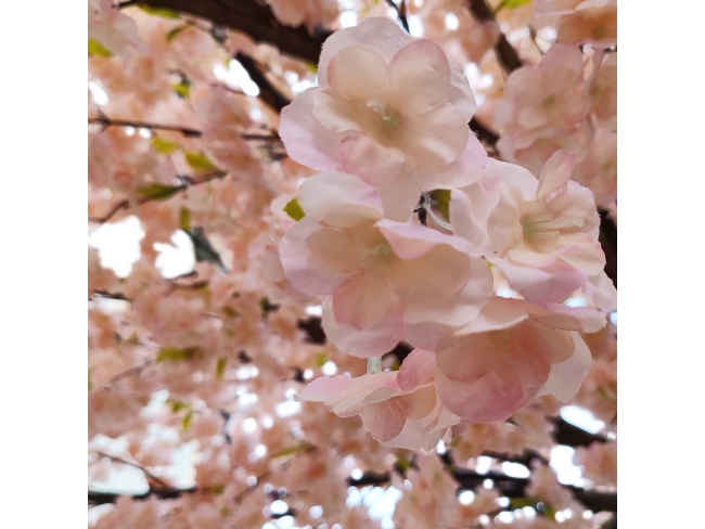 ARTIFICIAL GARDEN CHERRY PRUNUS BLOSSOM TREE 20167 - 2