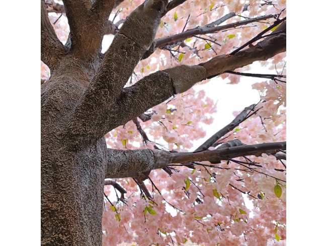 ARTIFICIAL GARDEN CHERRY PRUNUS BLOSSOM TREE 20167 - 3