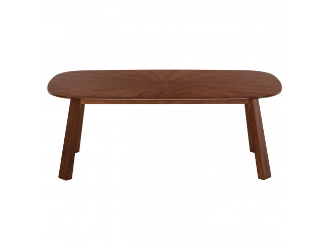 ΤΡΑΠΕΖΙ ΣΑΛΟΝΙΟΥ RINER HM9737 - 3